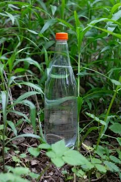 A clear plastic bottle in grass Fotos Stock