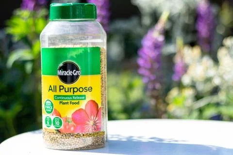 A clear plastic container of Miracle Grow All Purpose plant feed on a white t Stock Photos