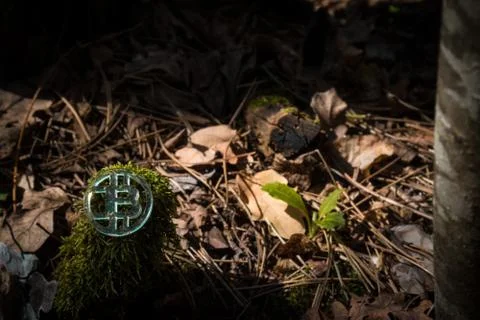 Clear plastic custom bit coin in nature Fotos de archivo