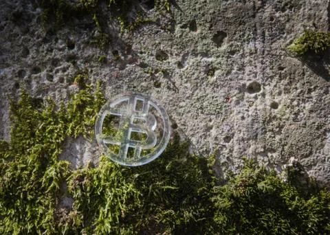 Clear plastic custom bit coin in nature Fotos de archivo