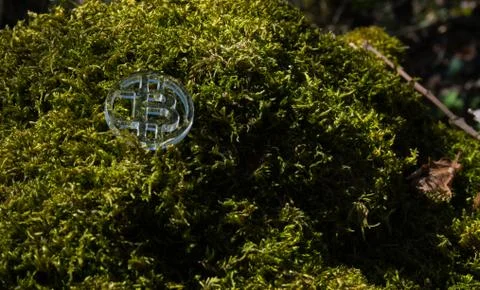 Clear plastic custom bit coin in nature 库存照片
