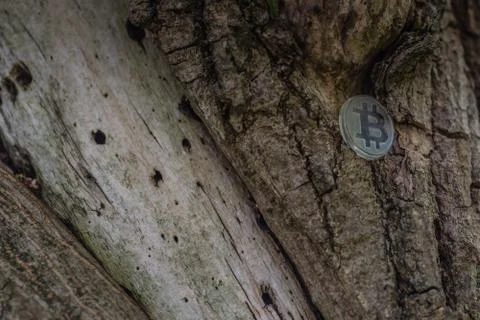 Clear plastic custom bit coin in nature Fotos de archivo