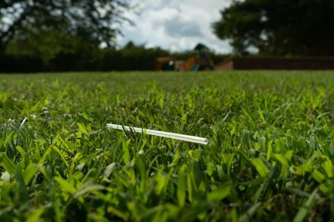 Clear Plastic Drinking Straw on Grass Stock-Fotos