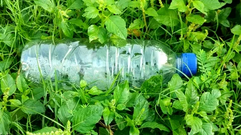 A clear plastic water bottle discarded amidst lush Stock Footage 322149253