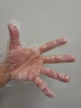 Clear polyethylene gloves on hand for light duty protection 库存照片