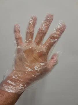 Clear polyethylene gloves on hand for light duty protection Fotos Stock