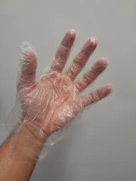 Clear polyethylene gloves on hand for light duty protection Stock Photos