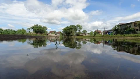 Clear Pond and Rice Fields in Rural Sleman, Yogyakarta, Indonesia Stock Footage 320853107