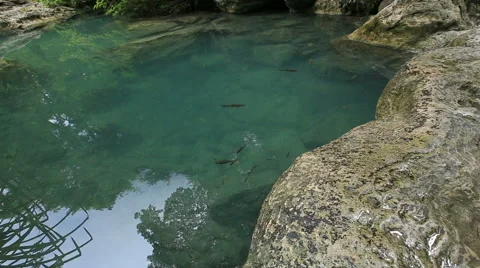 Clear pool and fish in nature at erawun waterfall national park, thailand Stock Footage 66471938