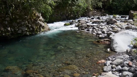 Clear pool in pristine mountain stream flowing over boulders in forest Stock Footage 99140847
