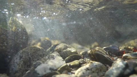 Clear pure mountain spring water beams of sunlight underwater natural resource Video stock 156047007
