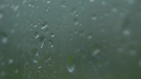 Clear rain drops flow down glass pane forming elegant patterns under soft Vídeo Stock 321466687
