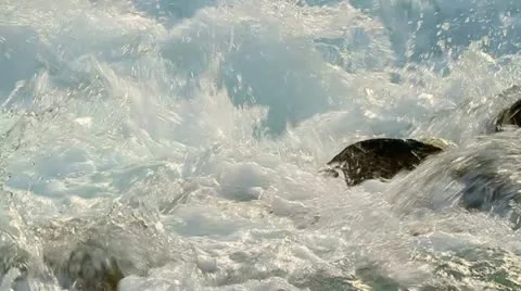 Clear rapid stream. Stock-Footage 13909031