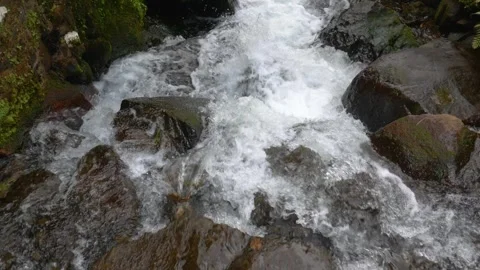 Clear Rapid Water Rushing Through Mountain Creek  Handheld Video stock 338237835