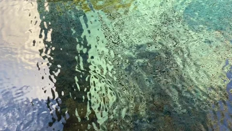 Clear, reflective, water background with fish moving through the image Stock Footage 291464601