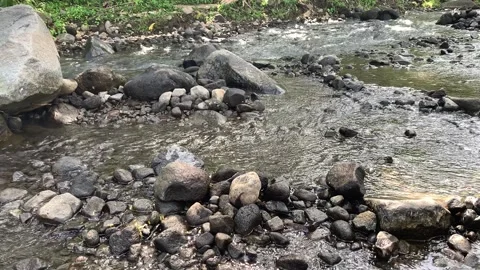 Clear river and rocks in nature Stock Footage 209281778