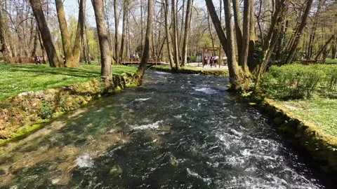 Clear River Fast Stream In Vrelo Bosne Park Near Sarajevo Video stock 345585667