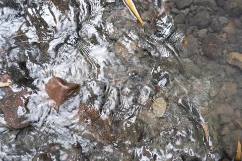 Clear River Flow Background. Rivers And Rocks. Stock Photos