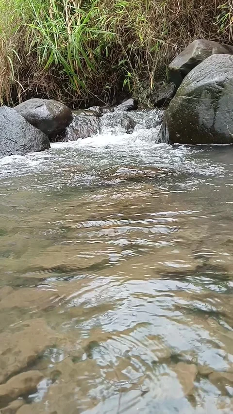 Clear River Flow Between Rocks in Forest Stock Footage 329892864