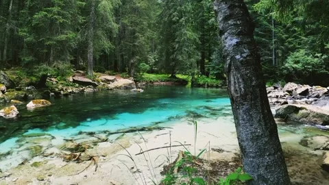 Clear river flow Stock Footage 219861376