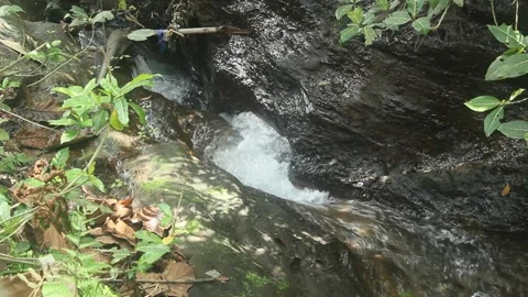 Clear river flow Stock Footage 224241875