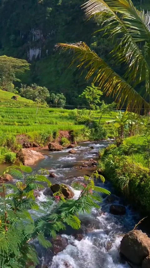 Clear River Flow Vídeo Stock 276298440