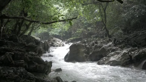 Clear river flow in the forest Stock Footage 280889198