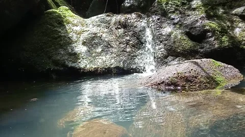 Clear River Flow Over Rocks in Tropical Forest | Natural Freshwater Stream Stock Footage 330545049