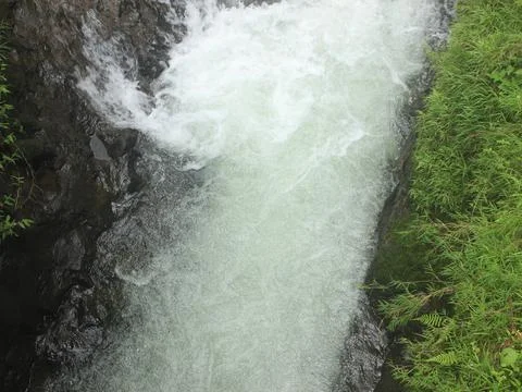 Clear river flow on the tropical forest Stock Photos