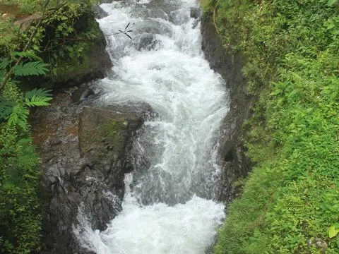 Clear river flow on the tropical forest Stock Photos