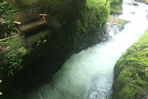 Clear river flow on the tropical forest Stock Photos