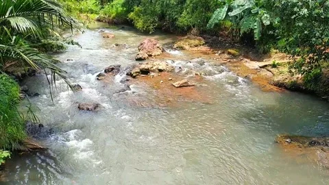 Clear river flowing over rocks in tropical forest landscape Stock Footage 329922219