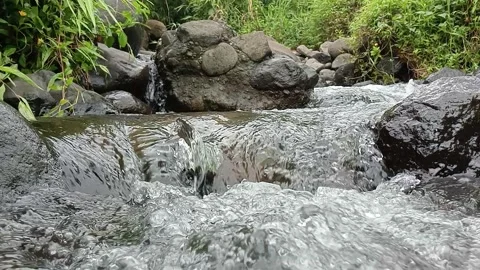 Clear River Flowing Over Rocks in Natural Forest Stream Stock Footage 330336103