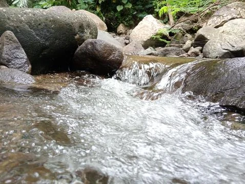 Clear River Flowing Over Rocks in Natural Outdoor Environment Stock Photos