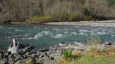 Clear River Flowing Past Rocky Banks and Autumn Forest in Natural Light Stock Footage 342209977
