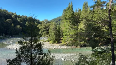 Clear river flowing through dense forest with stony banks Stock Footage 310619187