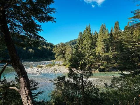 Clear river flowing through dense forest with stony banks Foto stock