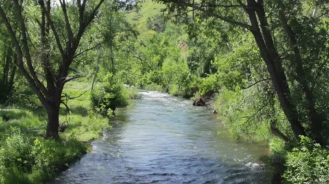 Clear River Flowing Through Forest Stock Footage 47745290