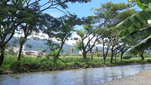 Clear river flowing through a lush valley with mountains Stock Footage 310392889