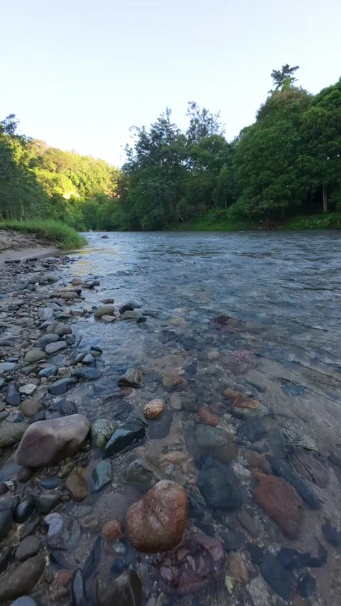 Clear River Flowing Through Lush Green Landscape Stock Footage 332861245