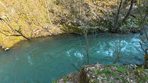 Clear river flows beneath leafless trees. Mount Ozren Видео 330942500