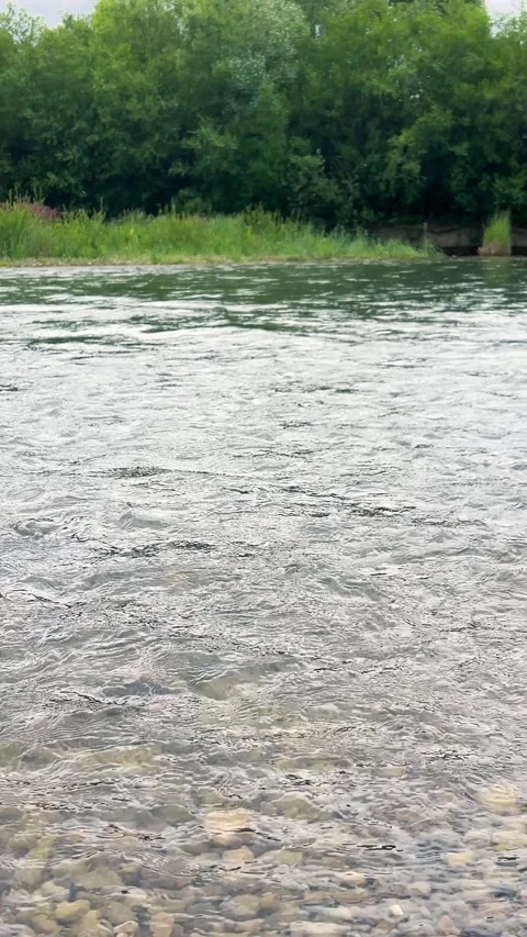 A clear river flows rapidly over pebbles with green trees. Stock Footage 339091984