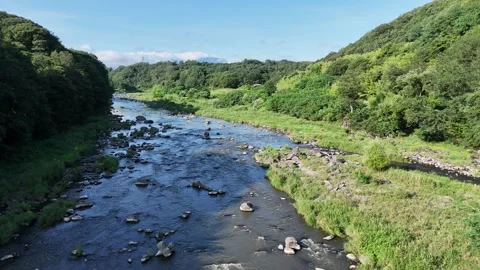 Clear river flows through green forested valley Stock Footage 340895445