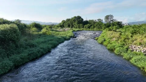 Clear river flows through green valley Stock Footage 340917081