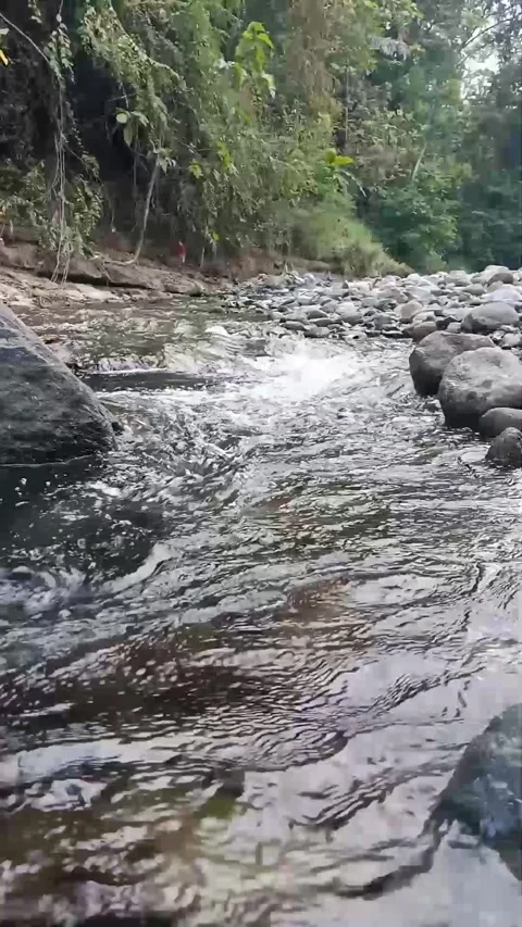 Clear river Stock Footage 241808493