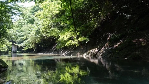Clear River In A Forest Stock-Footage 110378847