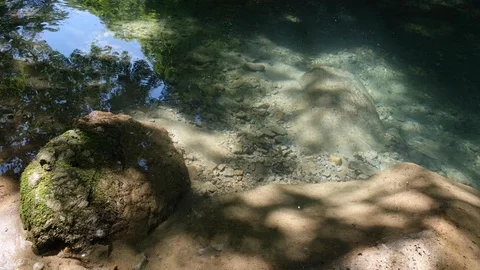 Clear River In A Forest Stock Footage 110381798