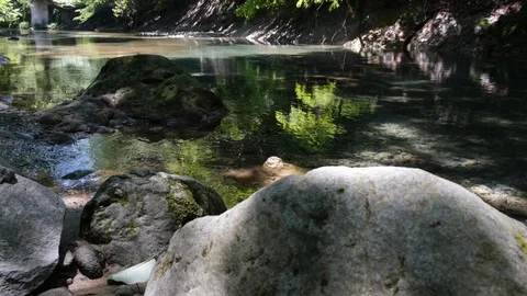 Clear River In A Forest Stock Footage 110383662