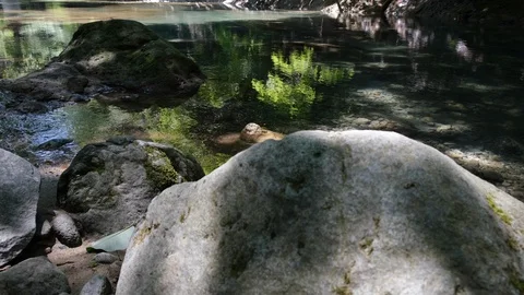 Clear River In A Forest Stock Footage 110385075