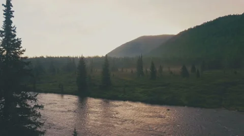 Clear river in the forest in sunrise Stock Footage 66859266